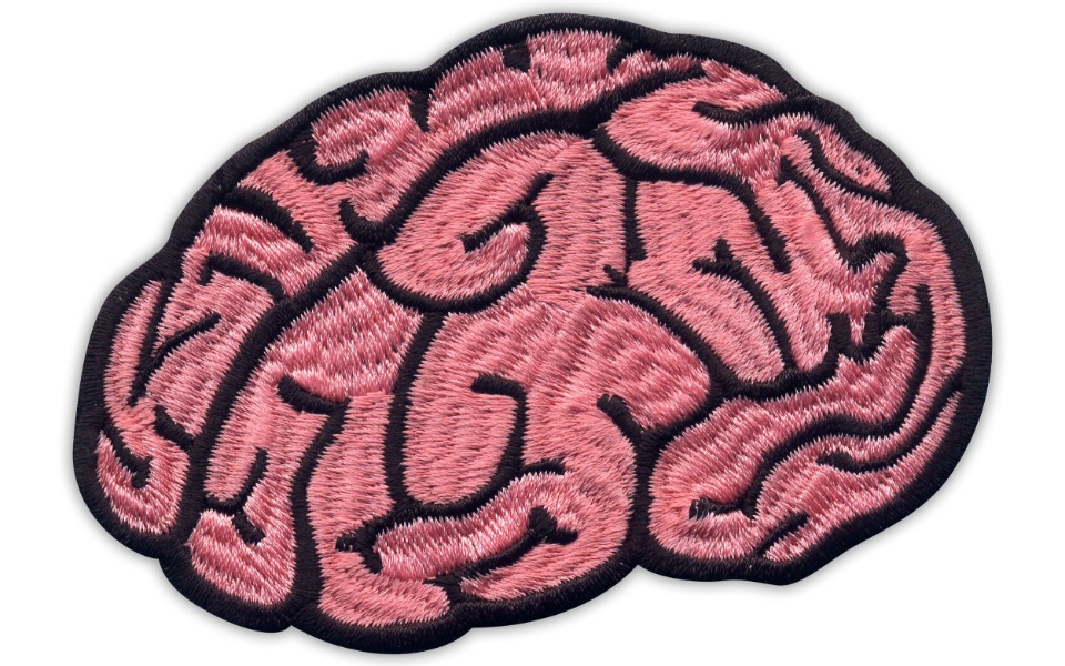 
        Zbiórka Nowy mózg dla wesfelika - zdjęcie główne
    