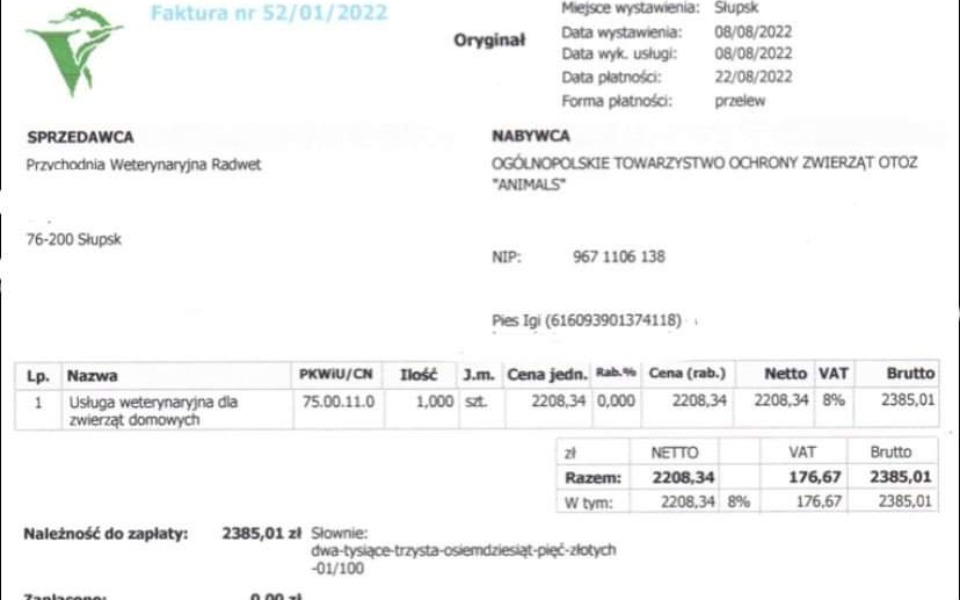 
        Zbiórka Połamana łapka Igusia część 2 - zdjęcie główne
    