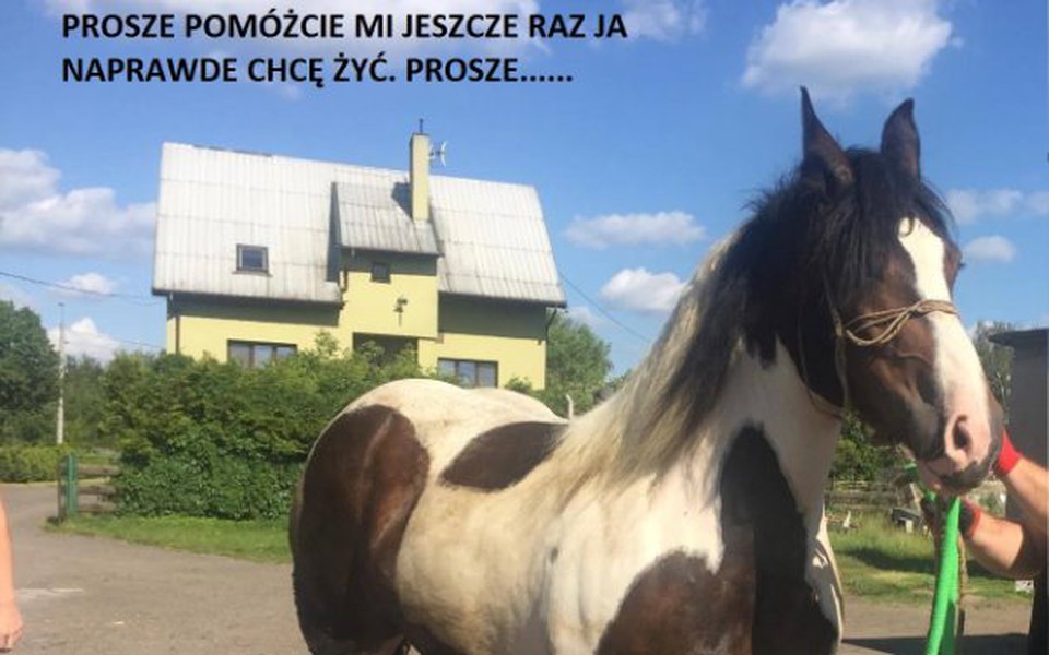 Zbiórka To nie może się tak skończyć.... - zdjęcie główne