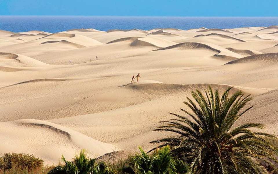 
        Zbiórka Urlop życia - zdjęcie główne
    