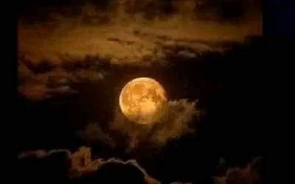 
        Zbiórka Na kebaba i dużą cole - zdjęcie główne
    