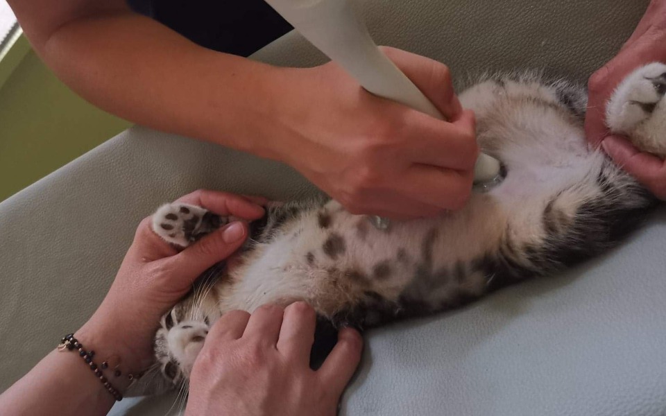 
        Zbiórka Ratujemy malutkiego Karolka - zdjęcie główne
    