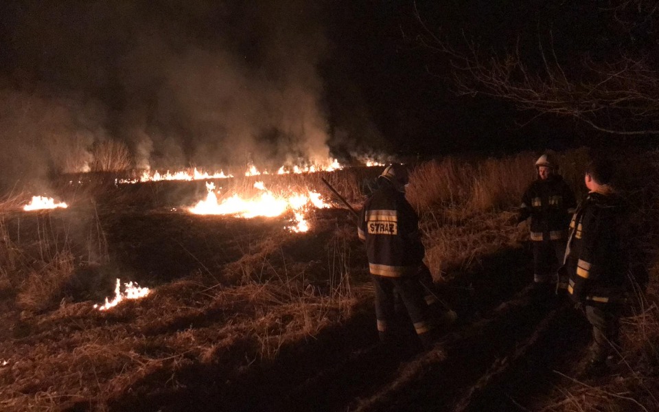 
        Zbiórka Dla OSP Gnieszowice - zdjęcie główne
    
