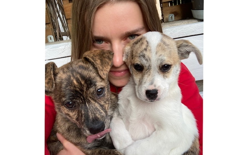 
        Zbiórka Na studia psiego behawiorysty - zdjęcie główne
    