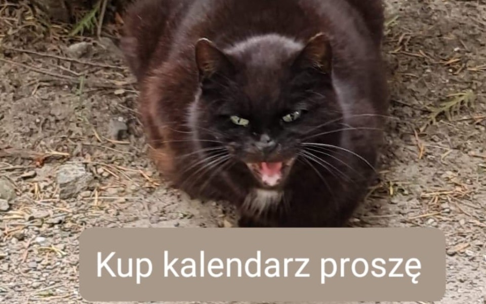 
        Zbiórka Kalendarz na rok 2023 - zdjęcie główne
    