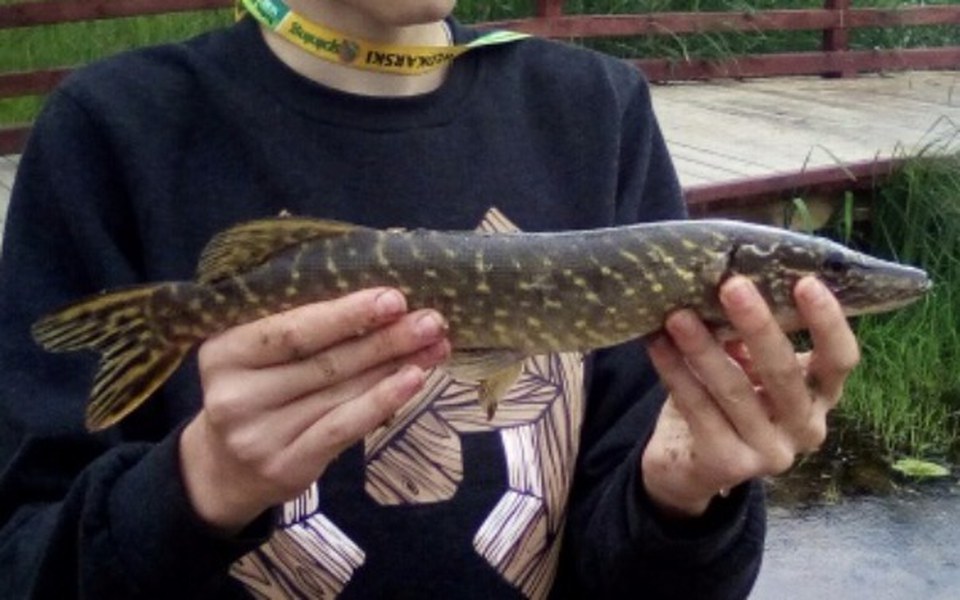 
        Zbiórka Zbieram na hobby - wędkarstwo - zdjęcie główne
    