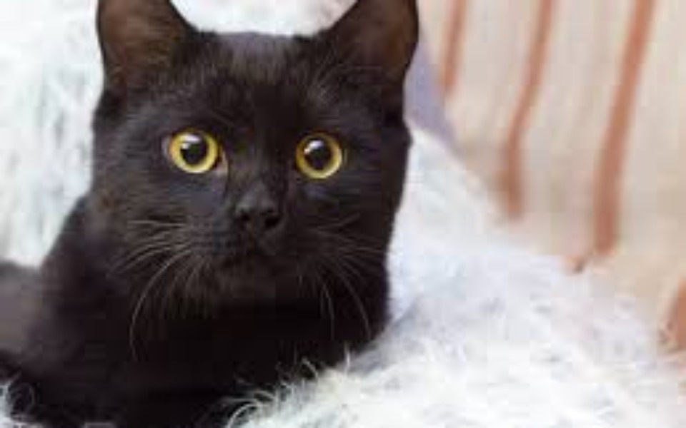 
        Zbiórka for my life - zdjęcie główne
    