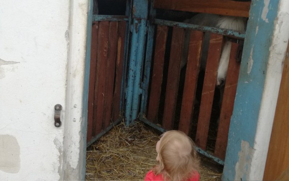 
        Zbiórka W dalekie podróże - zdjęcie główne
    