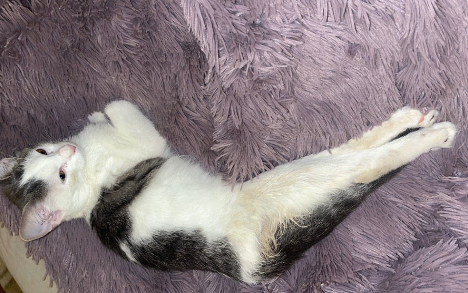 
        Zbiórka Złamanie miednicy paraliż Nóg - zdjęcie główne
    