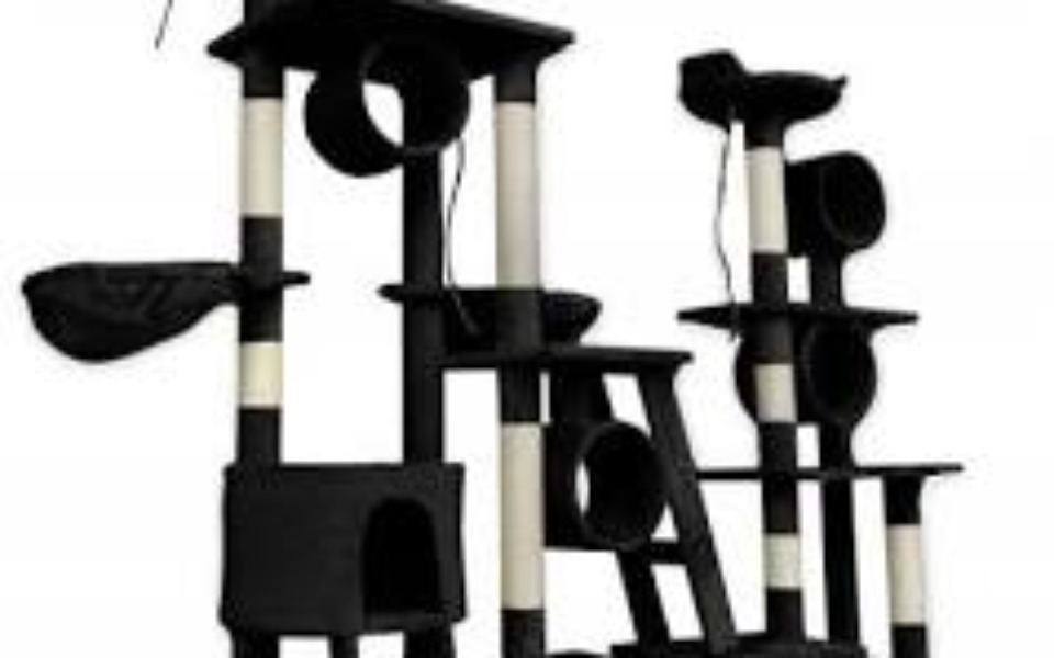 
        Zbiórka Drapak Dla Gucia Kota - zdjęcie główne
    