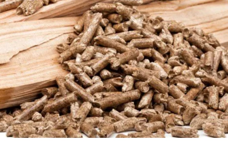 
        Zbiórka Ogrzewanie domu-prosimy o pomoc - zdjęcie główne
    