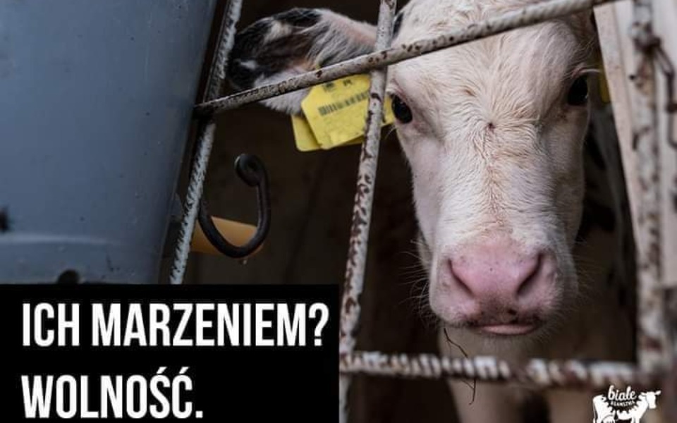 
        Zbiórka Sprzęt AV -oddział w Łodzi - zdjęcie główne
    