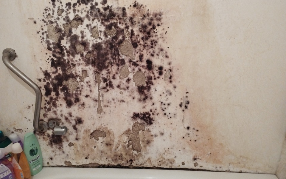 
        Zbiórka Remont mieszkania i leczenie - zdjęcie główne
    