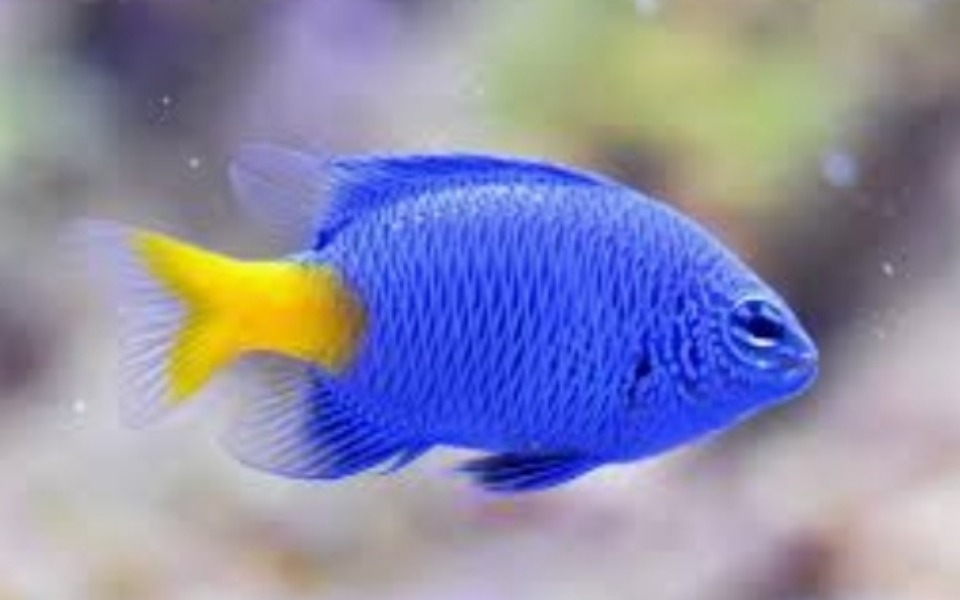 
        Zbiórka Na łowisko - zdjęcie główne
    