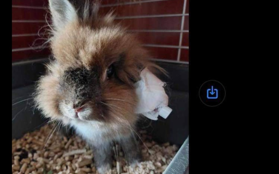 
        Zbiórka Operacja Sopliczki - zdjęcie główne
    