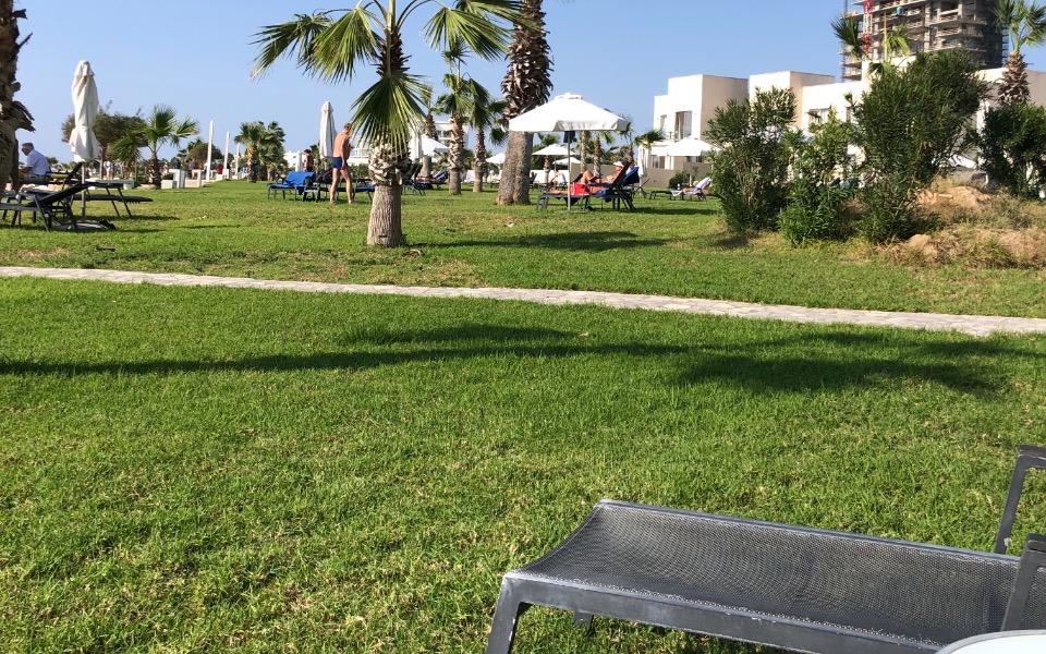 
        Widok na zielony teren z palmami i leżakami.
    