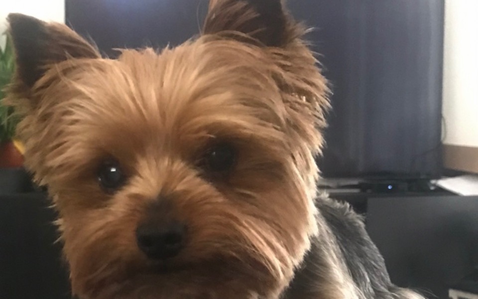 
        Zbiórka Przedłużenie życia .. - zdjęcie główne
    