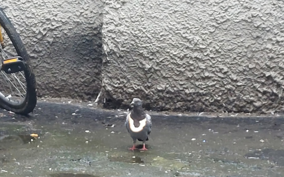 
        Zbiórka Skiny fortnite - zdjęcie główne
    