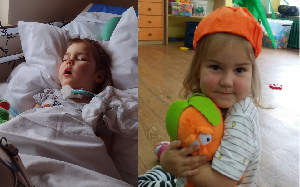 
        Zbiórka Rehabilitacja dla Olivki - zdjęcie główne
    