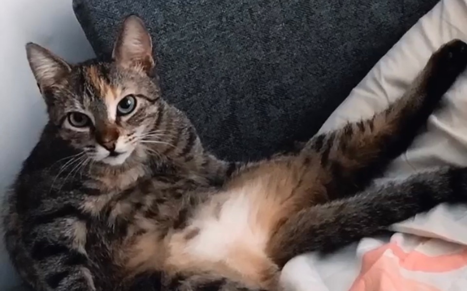 
        Zbiórka Leczenie Manii - zdjęcie główne
    