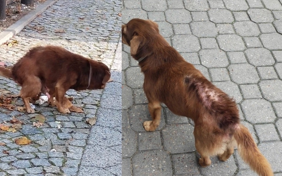 
        Zbiórka By móc dokończyć pomoc - zdjęcie główne
    