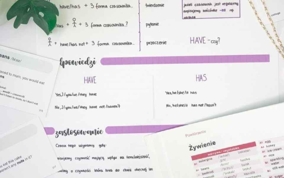 
        Zbiórka Studia prywatne - zdjęcie główne
    