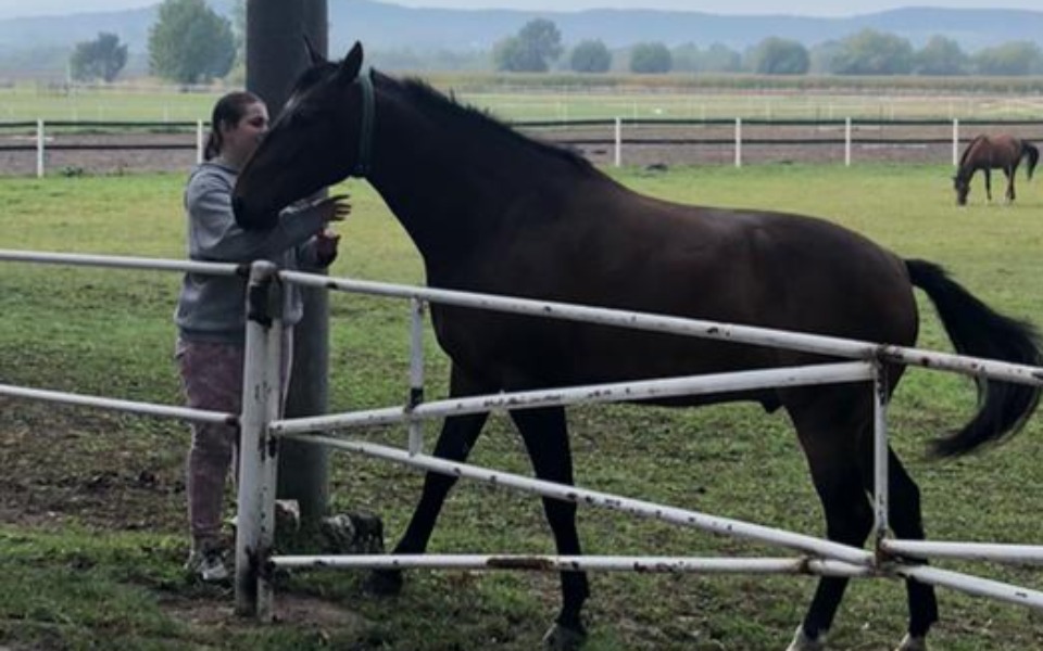
        Zbiórka Spełnienie marzenia. - zdjęcie główne
    