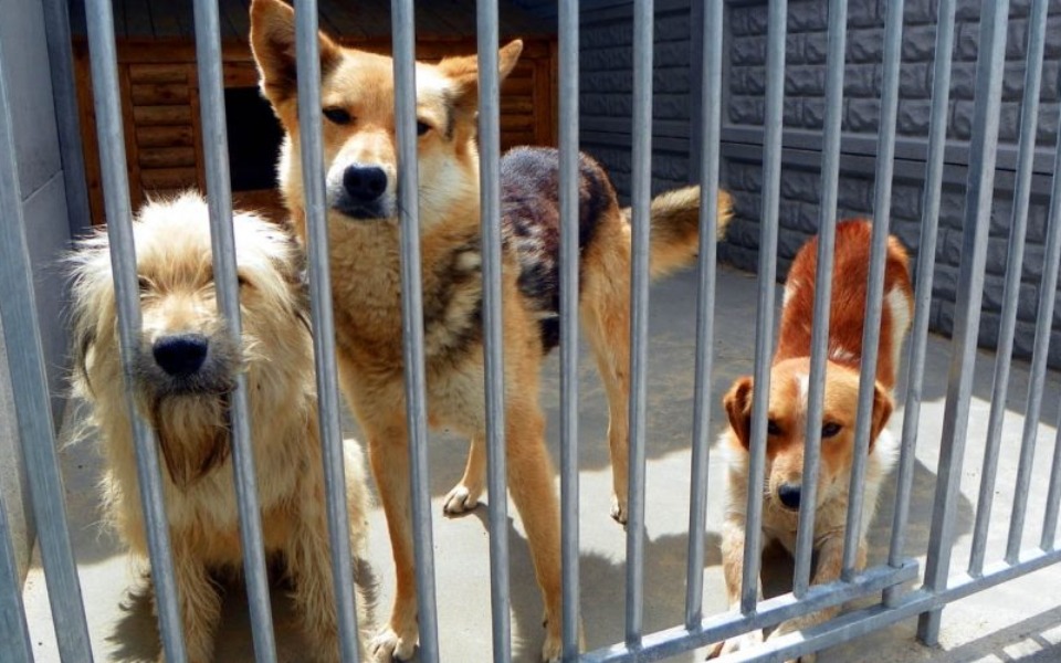 
        Zbiórka Zbiórka na cegiełki fundacji - zdjęcie główne
    