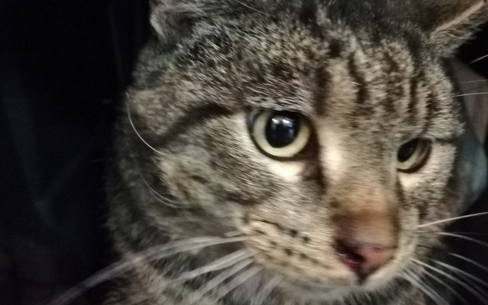 
        Zbiórka Pobity Burcyk - zdjęcie główne
    