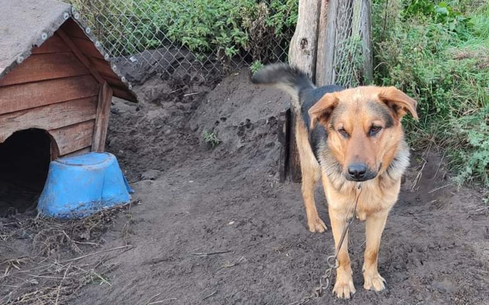 
        Zbiórka Na kojec dla Maliego - zdjęcie główne
    