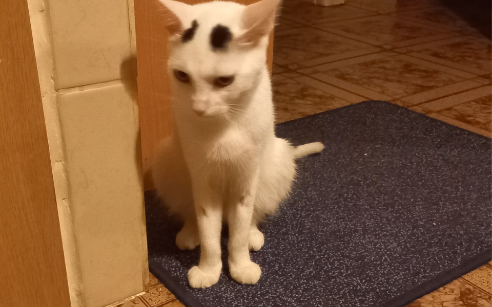 
        Zbiórka Leczenie Juniora - zdjęcie główne
    