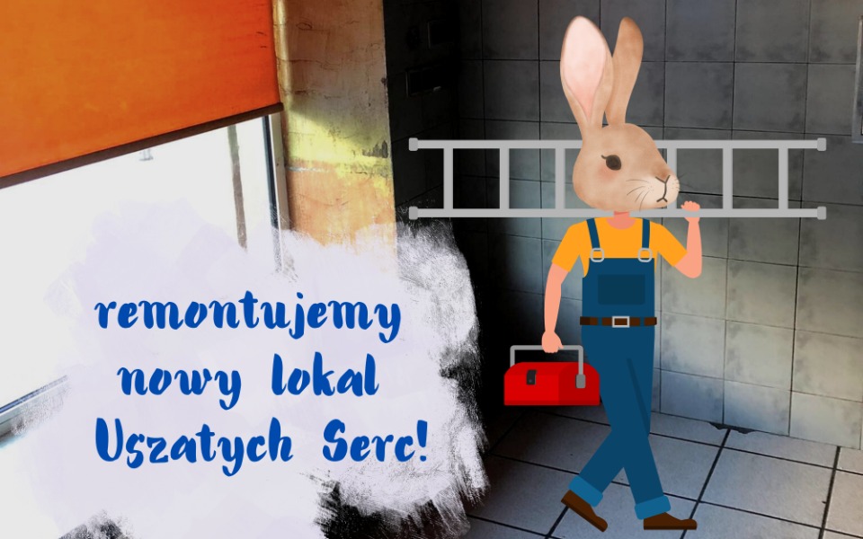 
        Zbiórka nowe miejsce dla naszych uszaków - zdjęcie główne
    