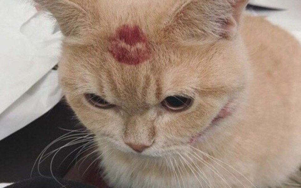 
        Zbiórka FIFA 23 dla Adaśka - zdjęcie główne
    