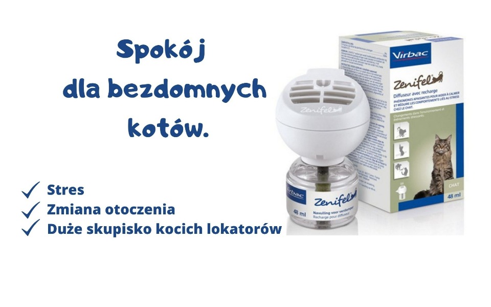 
        Zbiórka Spokój dla bezdomnych kotów. - zdjęcie główne
    