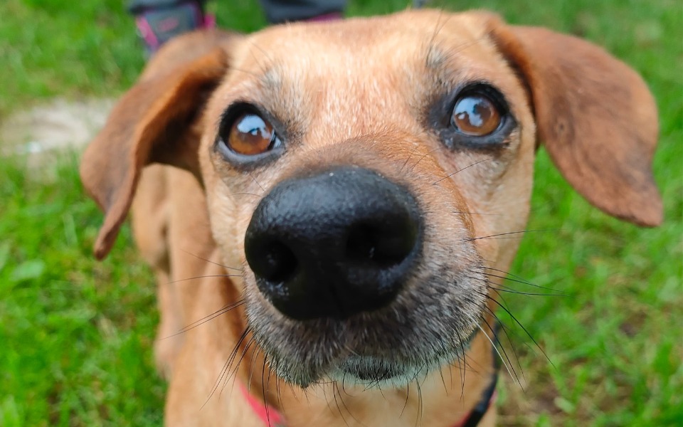 
        Zbiórka Na godną starość dla Filipka - zdjęcie główne
    