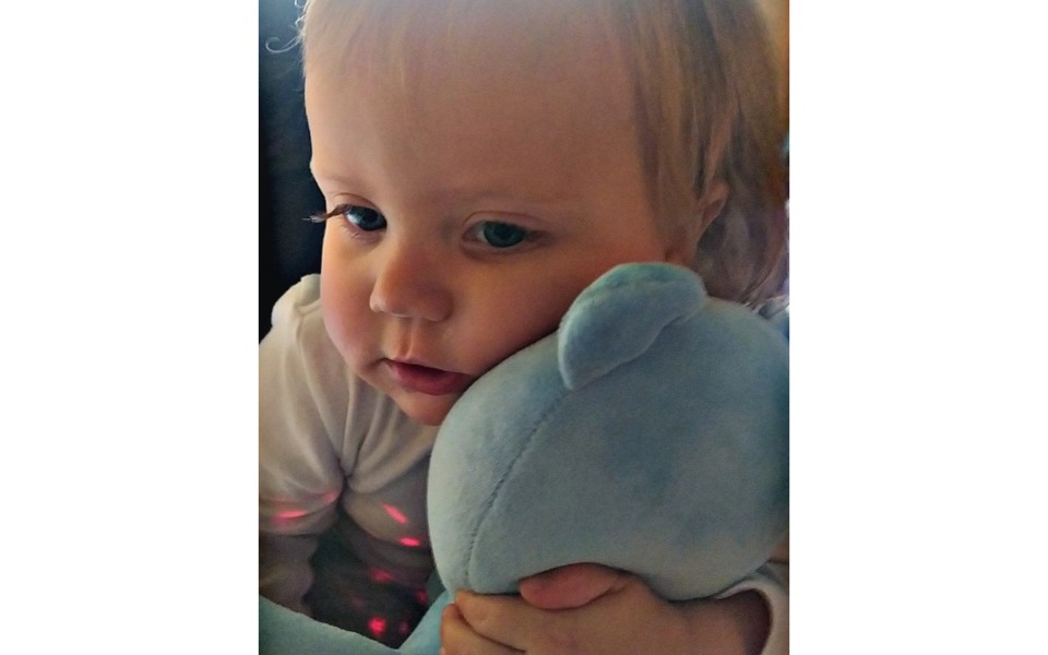 
        Zbiórka Rodzina zastępcza mojego Synka - zdjęcie główne
    