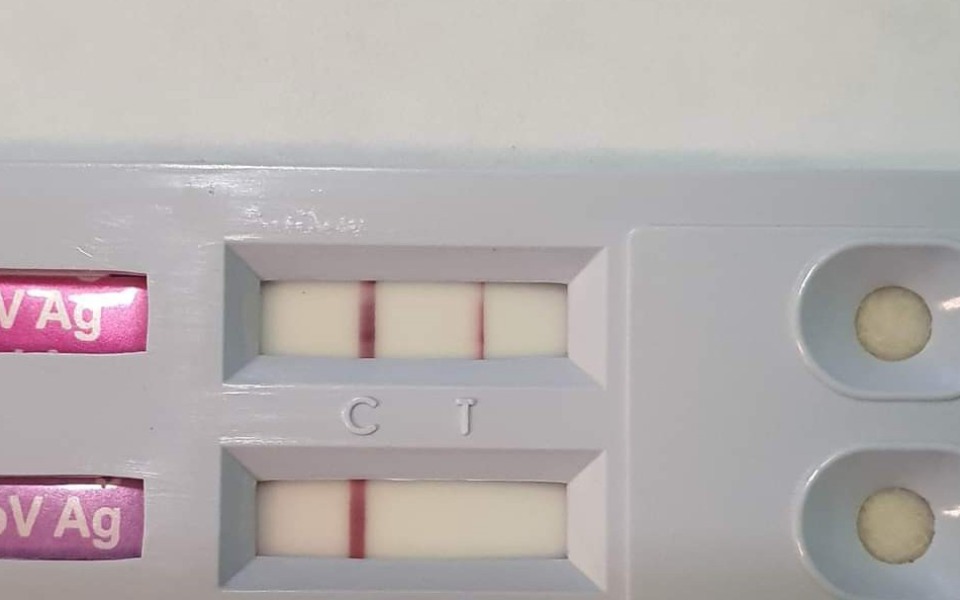 
        Zbiórka Maluszek z panleukopenia - zdjęcie główne
    