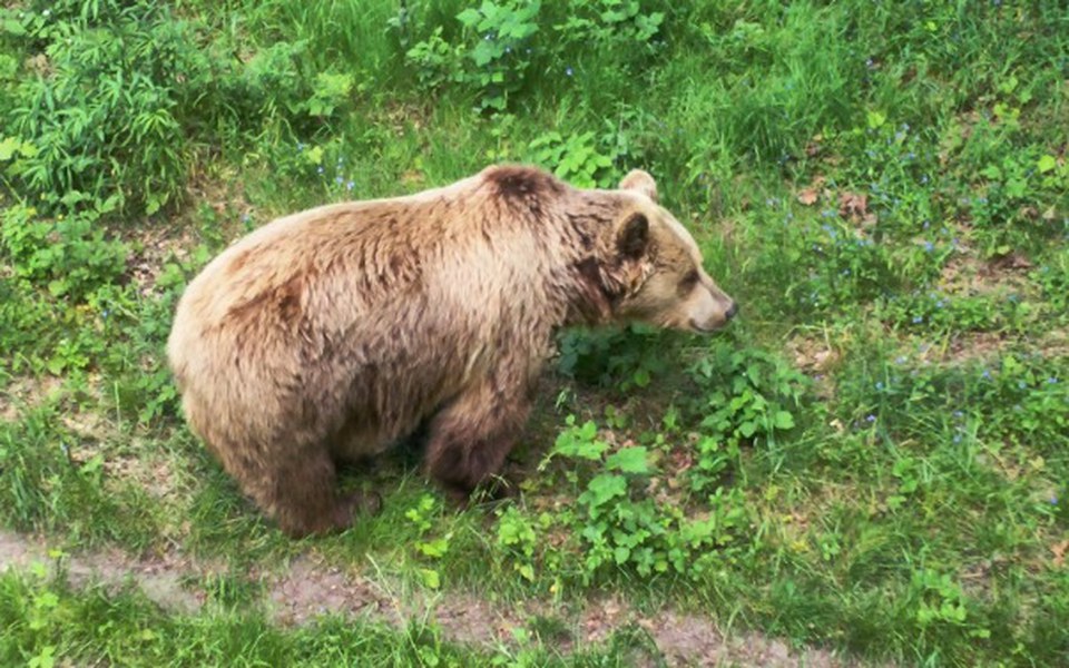 
        Zbiórka Spełnienie marzeń - FOTOGRAFIA - zdjęcie główne
    