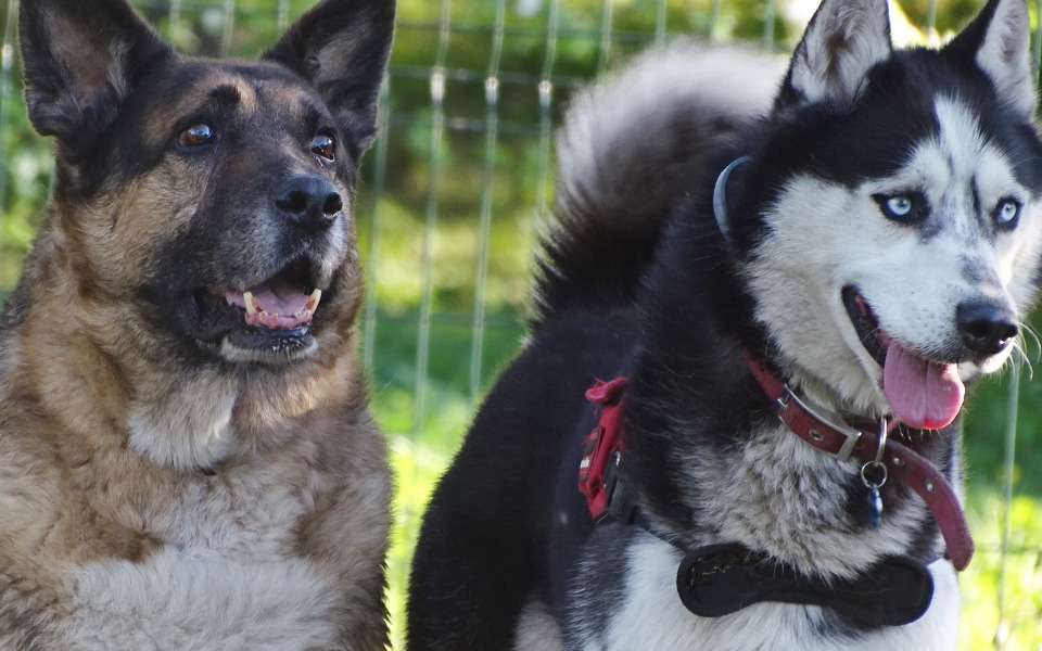 
        Zbiórka Na Wolną Zagrodę - zdjęcie główne
    