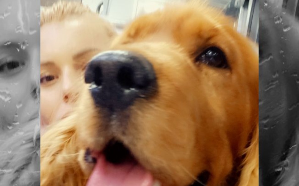 
        Zbiórka Lepsze uzębienie - zdjęcie główne
    