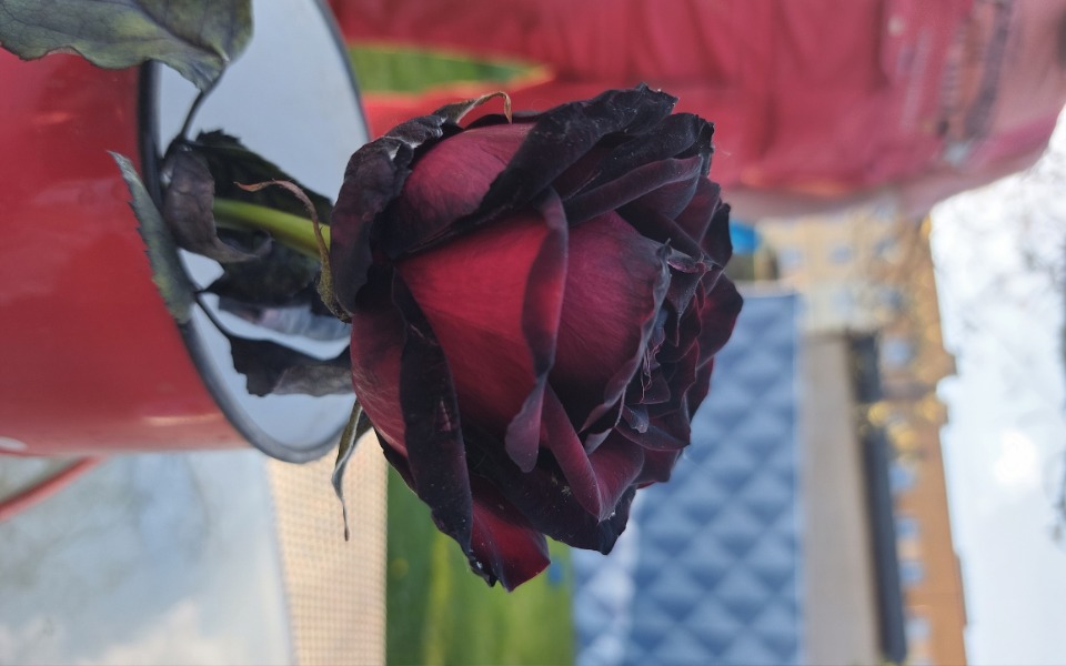 
        Zbiórka Odbudujmy dom M - zdjęcie główne
    