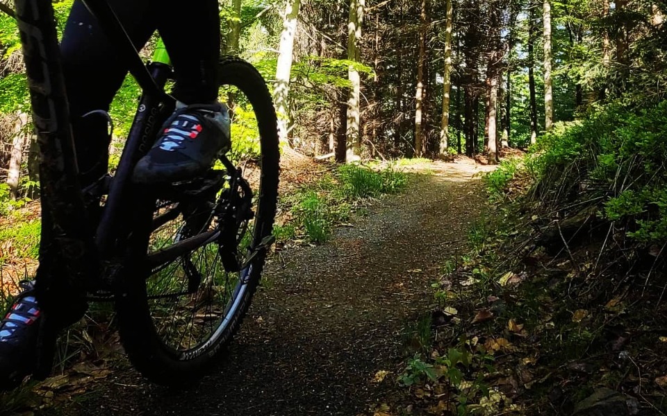 
        Zbiórka Rower do pracy i nie tylko - zdjęcie główne
    
