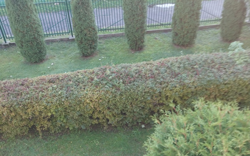 
        Zbiórka Na spełnienie marzeń i wakacje - zdjęcie główne
    