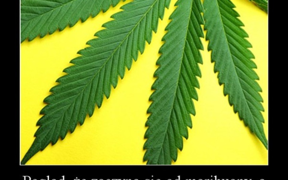 
        Zbiórka Pomoc na terapię dla mojego syna - zdjęcie główne
    