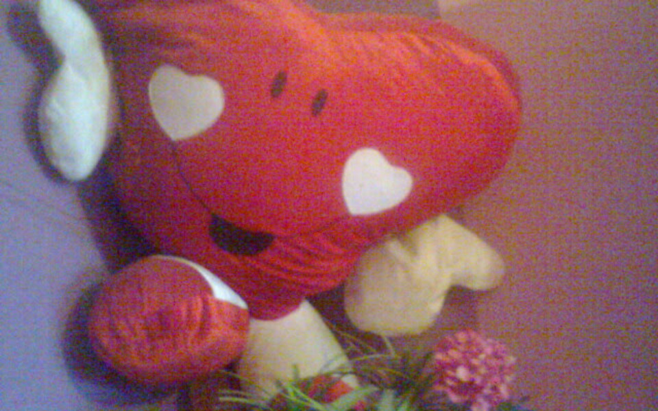 
        Zbiórka na telefon życie - zdjęcie główne
    