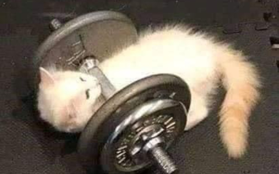 
        Zbiórka bialko dla madzi3 - zdjęcie główne
    