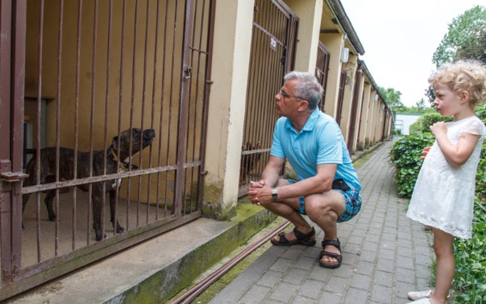 
        Zbiórka Schronisko w Poznaniu! - zdjęcie główne
    
