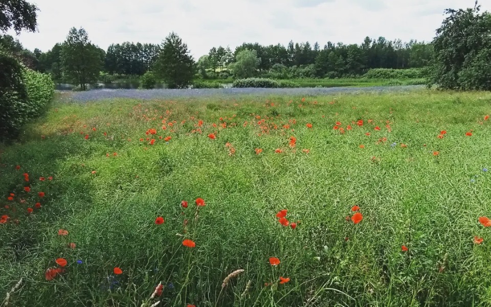 
        Zbiórka Tysiąc złotych na czynsz - zdjęcie główne
    