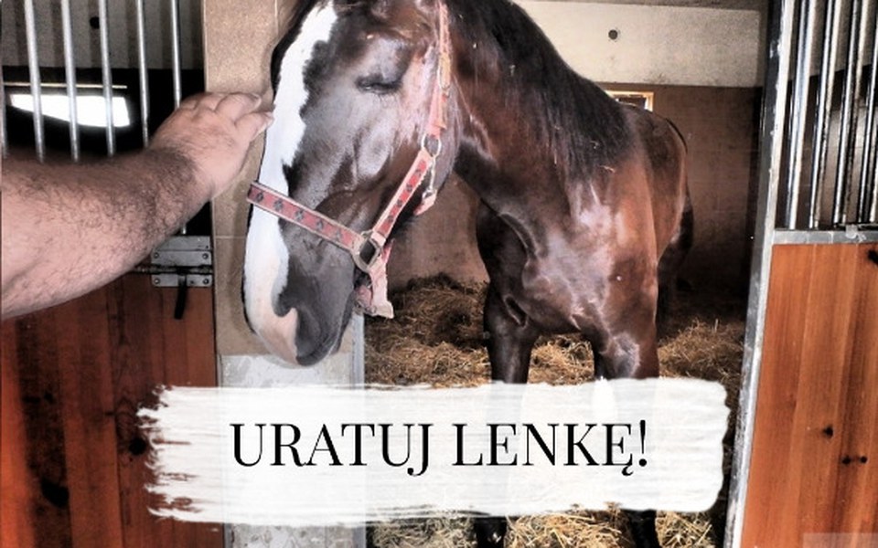 
        Zbiórka Lenka jest chora ale chce żyć. - zdjęcie główne
    