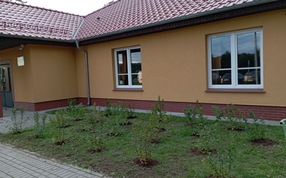 
        Zbiórka Zakup zastawy stołowej - zdjęcie główne
    